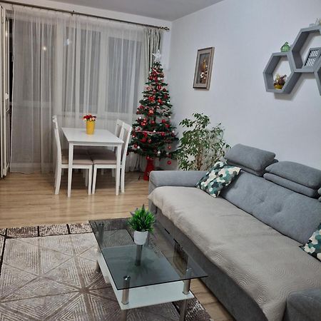 Apartament Ultra Central Marly グラ・フモアルルイ エクステリア 写真