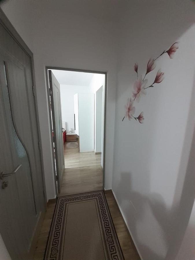 Apartament Ultra Central Marly グラ・フモアルルイ エクステリア 写真